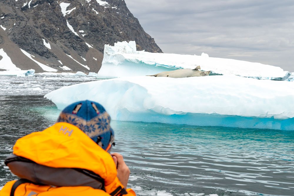 Seabourn-Zodiac-mit-Ausblick-auf-Tiere-in-der-Antarktis
