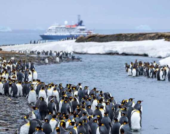 South Georgia Explorer Reise Piet van den Bemd Poseidon Expeditions