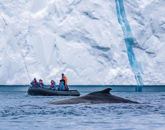 Antarktis mit Kap Hoorn nach Buenos Aires Hapag-Lloyd Cruises