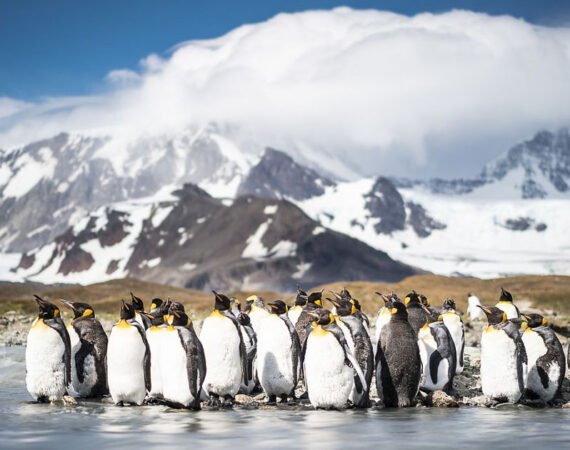 Expedition Antarktis mit Chiles Fjordwelt Hapag-Lloyd Cruises