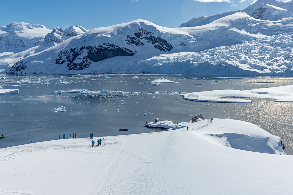 Landgang-in-der-Antarktis-von-Swan-Hellenic