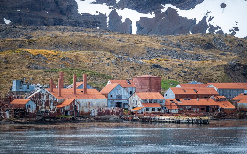 south georgia island History & Human Stories